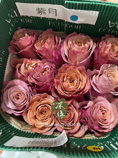 eZy Watermark_26-08-2024_12-24-56-6830下午-1724646390126