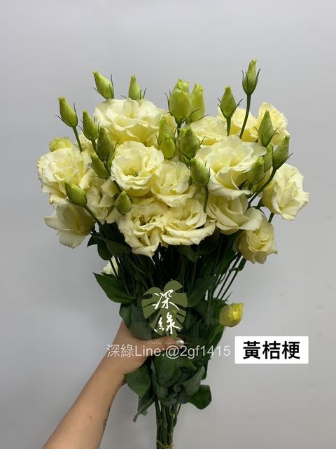 IMG_5354-1724647085901