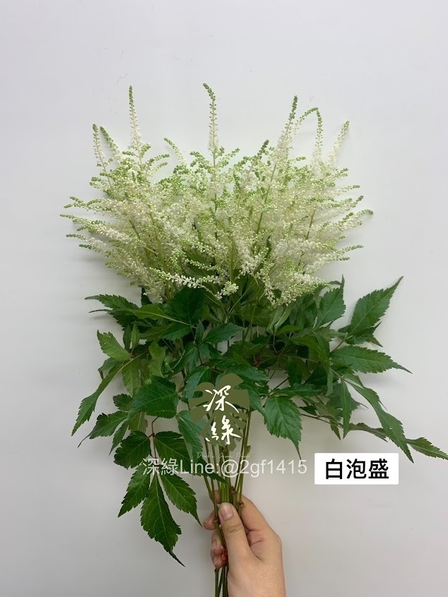 師白 花卉圖 師白 花卉圖 Amazon.com: Yu Zhizhen line drawing flowers