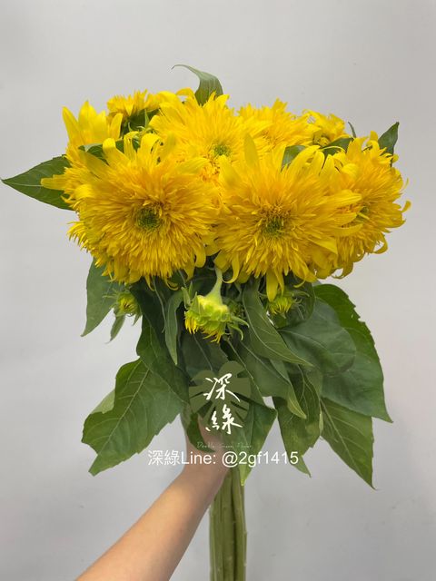 eZy Watermark_01-09-2024_03-59-13-6240下午-1725177572768