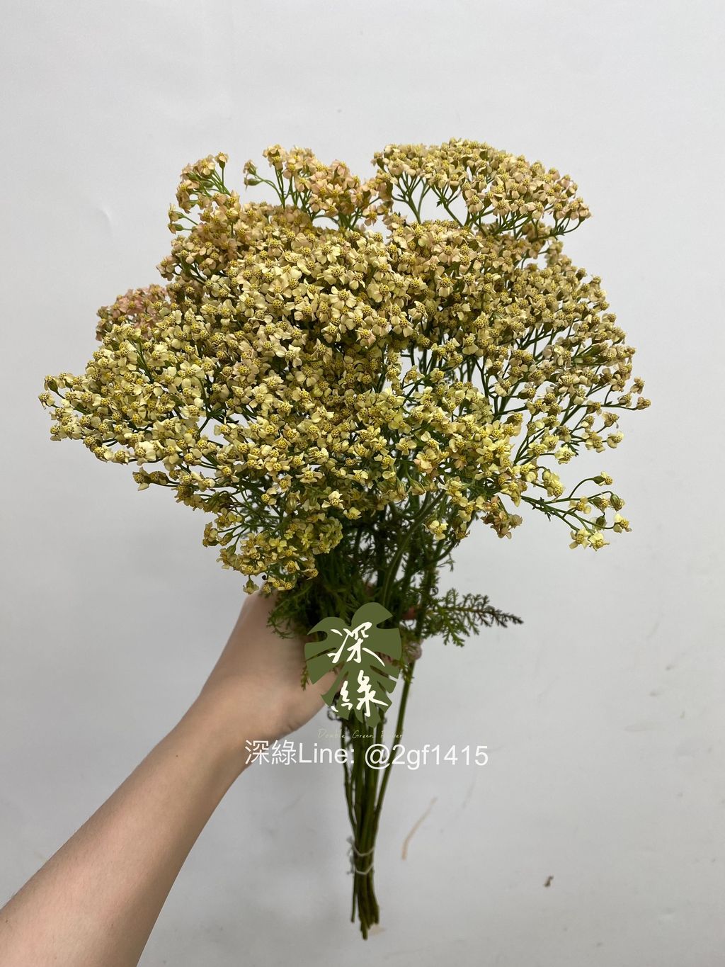 eZy Watermark_02-09-2024_01-09-52-7360下午-1725253958666