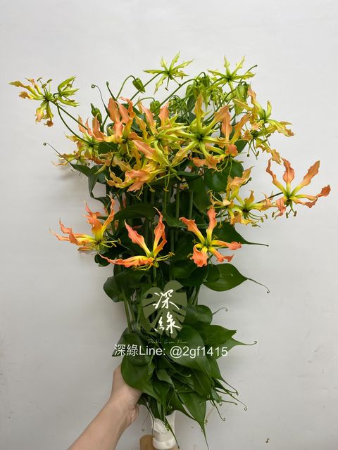 eZy Watermark_02-09-2024_01-09-46-6670下午-1725254017638