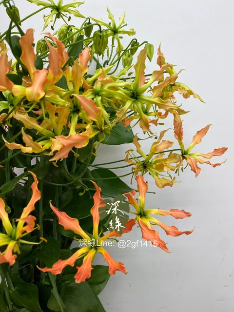 eZy Watermark_02-09-2024_01-09-44-9110下午-1725254017841