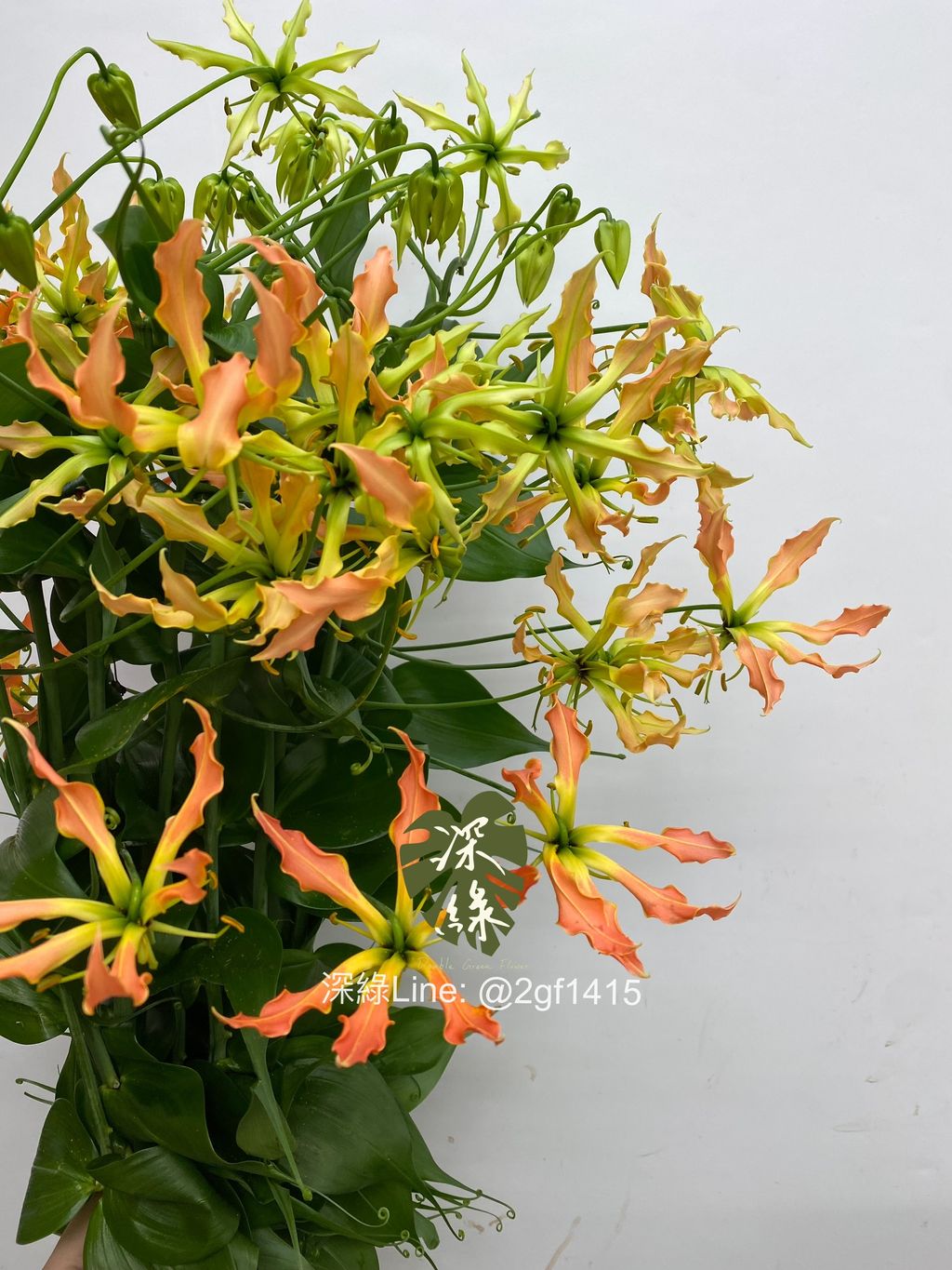 eZy Watermark_02-09-2024_01-09-43-1480下午-1725254018043