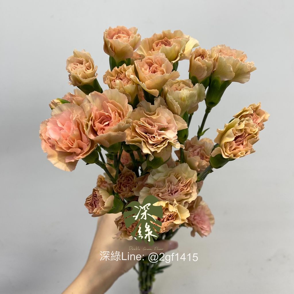 eZy Watermark_02-09-2024_01-09-54-4210下午-1725254360558