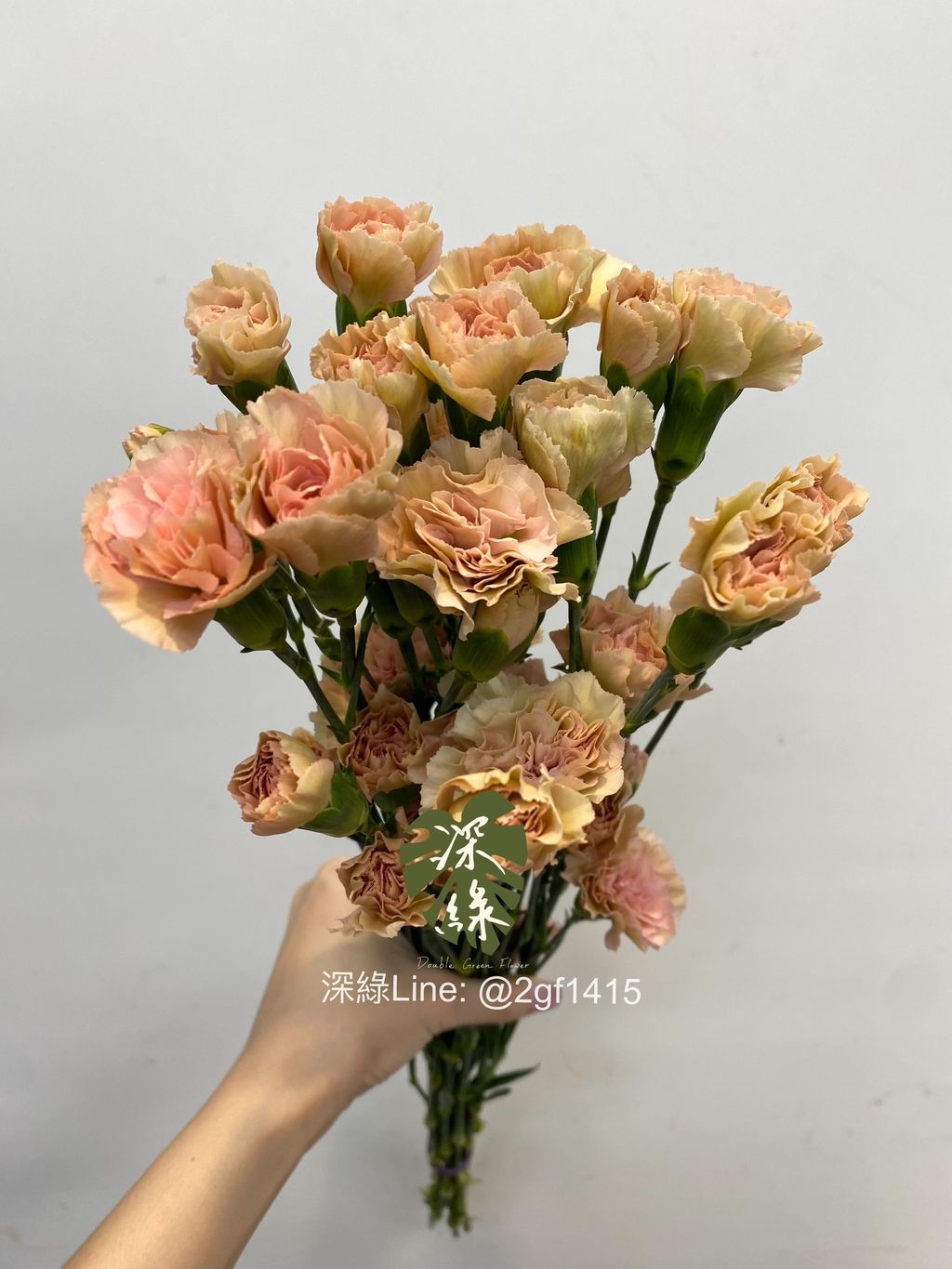 eZy Watermark_02-09-2024_01-09-53-9030下午-1725254360747