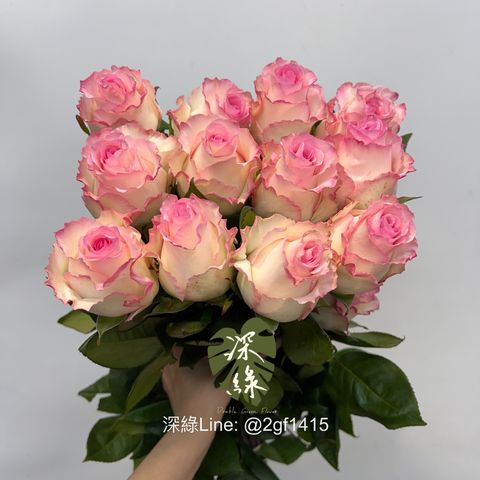 S__6946853_0