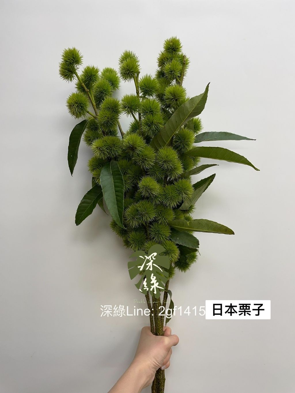 F79DCEC2-DA15-4EB4-AB6A-C1FC652A1080