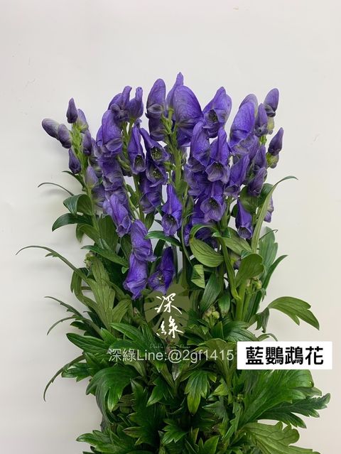 B7139F6A-E6FA-478F-B41A-4ED43FE8FC62