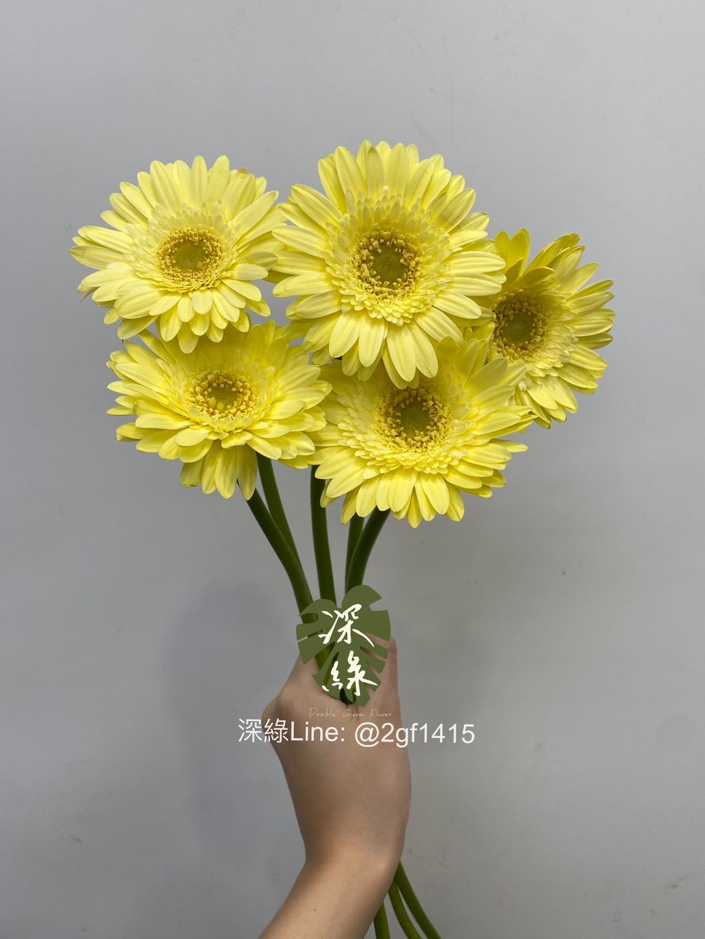 eZy Watermark_09-09-2024_01-28-57-1280下午-1725860370442