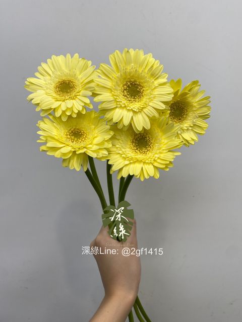 eZy Watermark_09-09-2024_01-28-57-1280下午-1725860370442