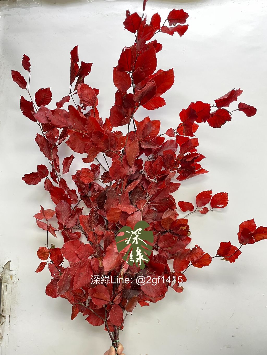 eZy Watermark_10-09-2024_12-21-41-7370下午-1725942868606