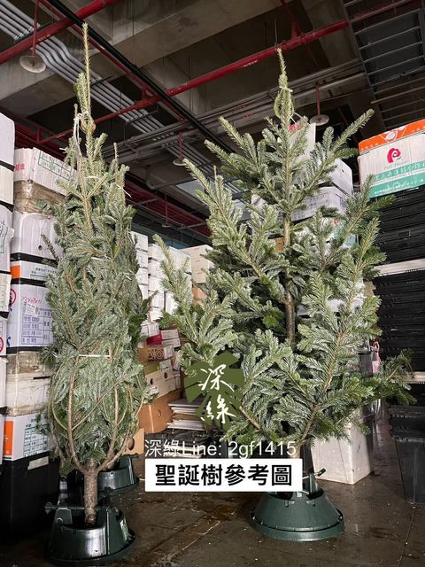 S__29286411