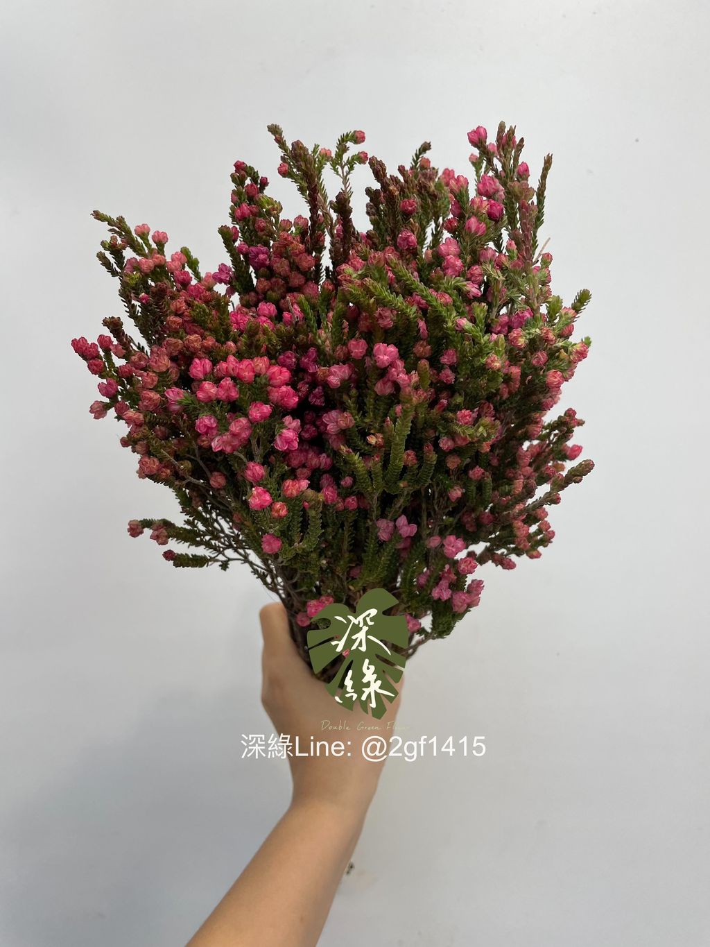 eZy Watermark_12-09-2024_12-38-44-7950下午-1726116032624