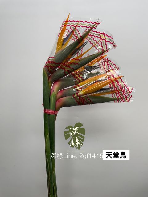 59E99BEB-0D6F-406D-B958-0001660320AB