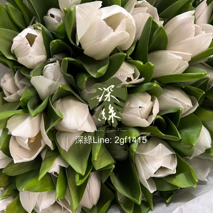 eZy Watermark_13-09-2024_11-19-54-3750上午-1726197622218