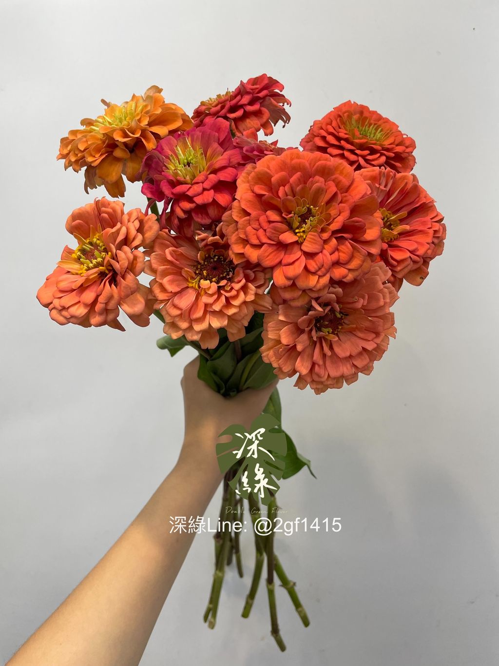 eZy Watermark_14-09-2024_10-24-17-6060上午-1726280750231