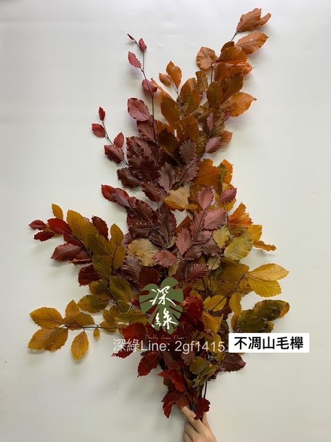 11745C7D-068C-4E71-A829-B5D3BA8E74A7