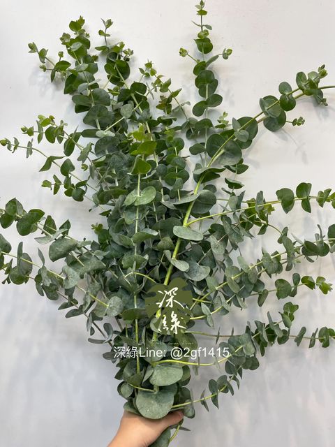 eZy Watermark_20-09-2024_01-41-16-2160下午-1726810952033