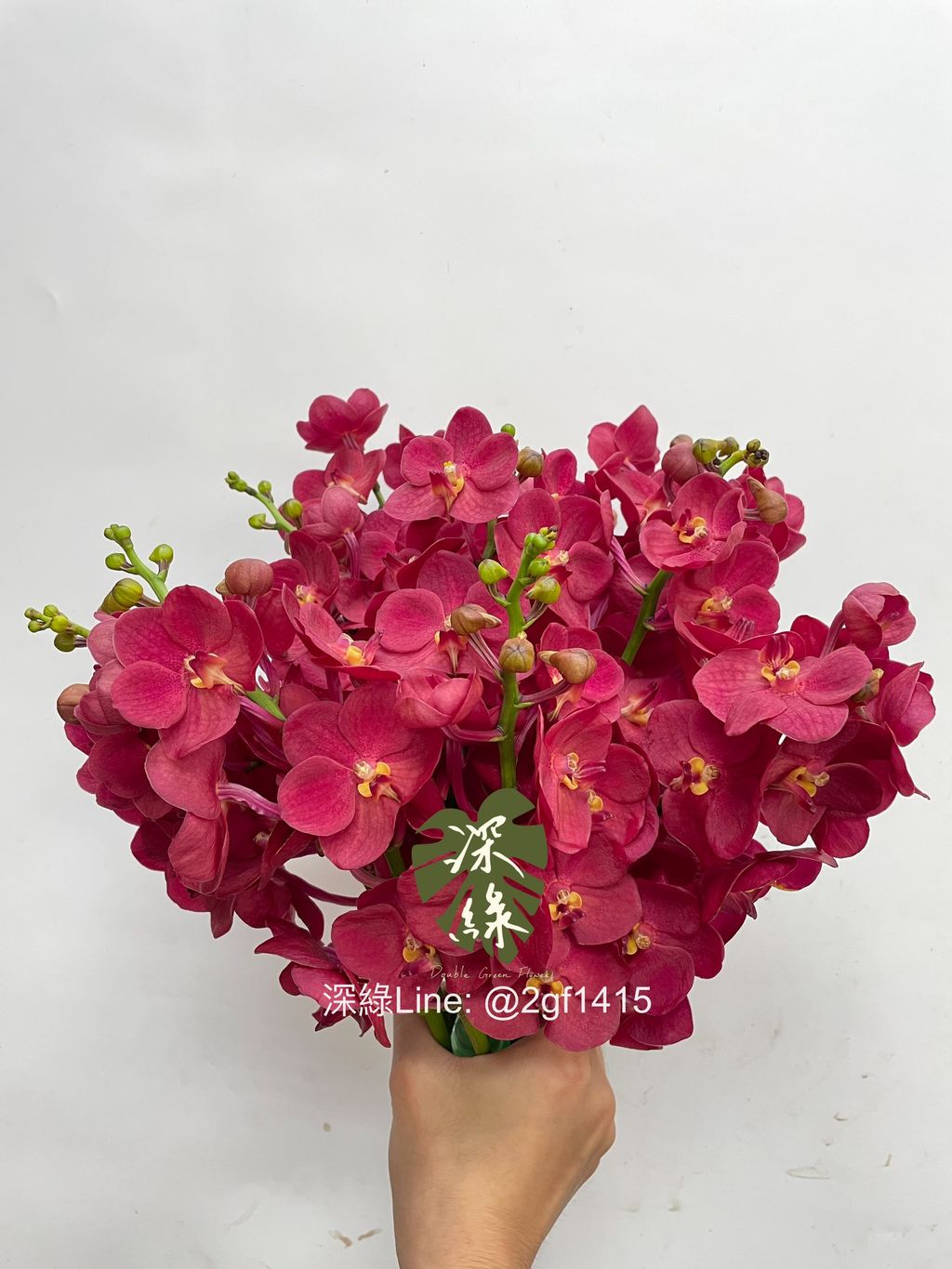 eZy Watermark_25-09-2024_09-26-33-7100上午-1727227676135