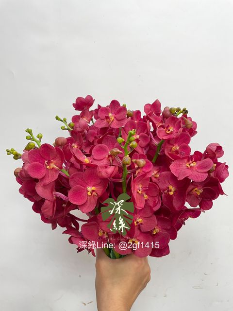 eZy Watermark_25-09-2024_09-26-33-7100上午-1727227676135