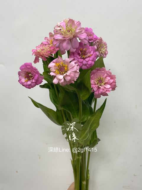 eZy Watermark_30-09-2024_12-18-44-4240下午-1727669944616
