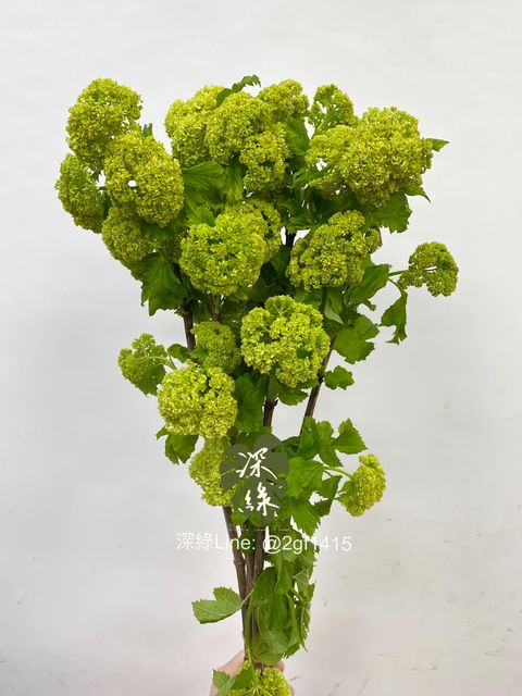 eZy Watermark_30-09-2024_03-06-22-3090下午-1727680330558