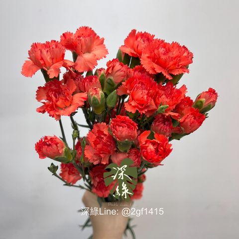 IMG_2904-1727681939154