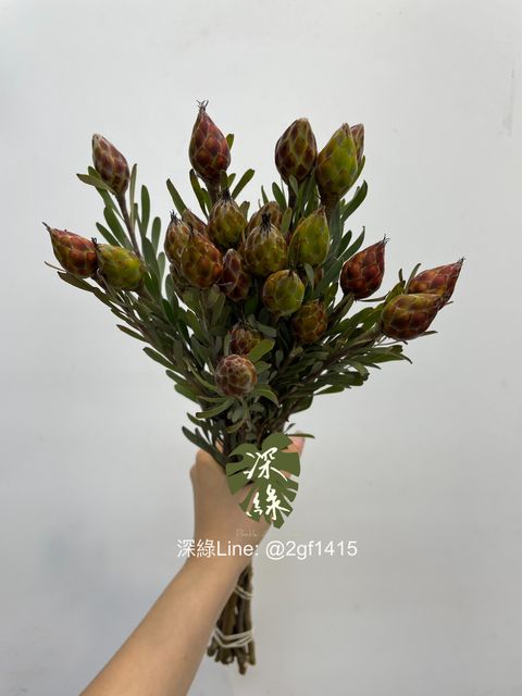 eZy Watermark_02-10-2024_08-30-34-6360上午-1727829174916