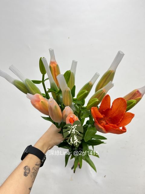 eZy Watermark_05-10-2024_09-08-43-4830上午-1728091276282