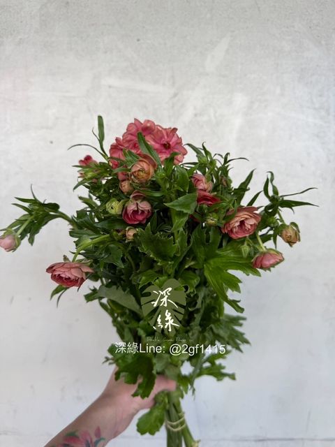 eZy Watermark_06-10-2024_02-31-06-2660下午-1728196273398