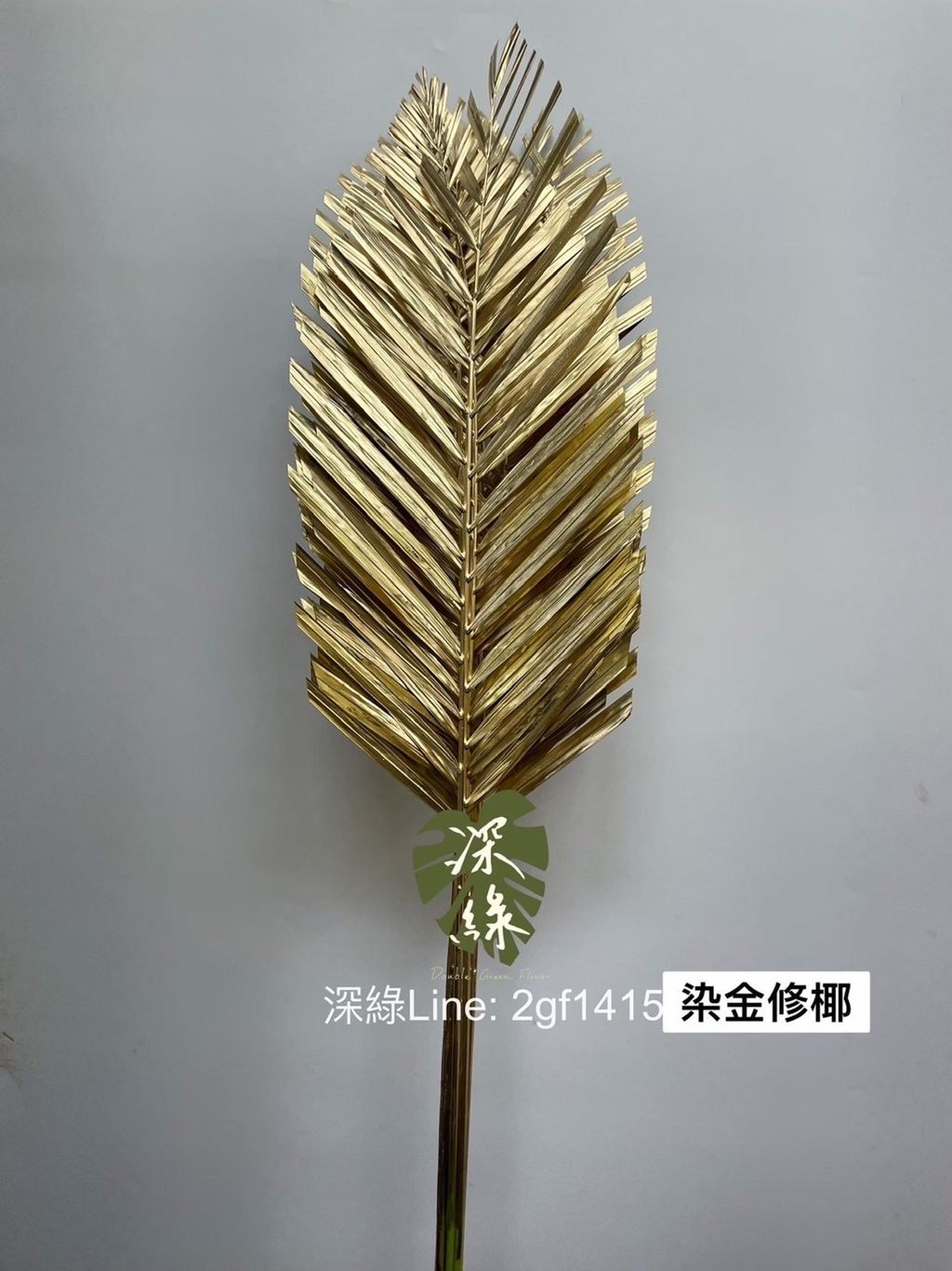 IMG_7459-1728275773068