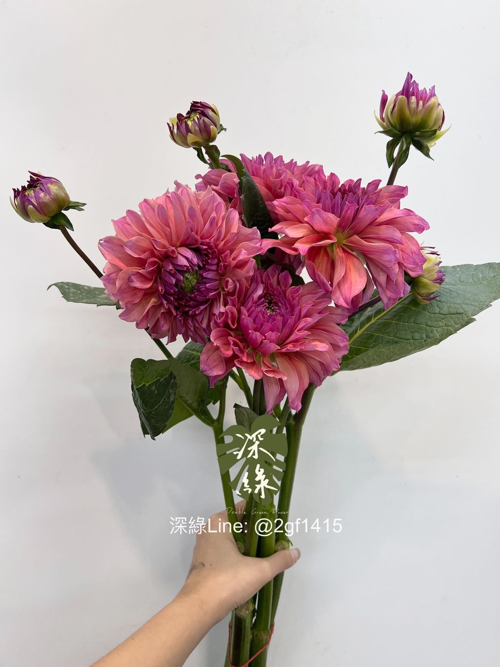 IMG_5355-1728807837266