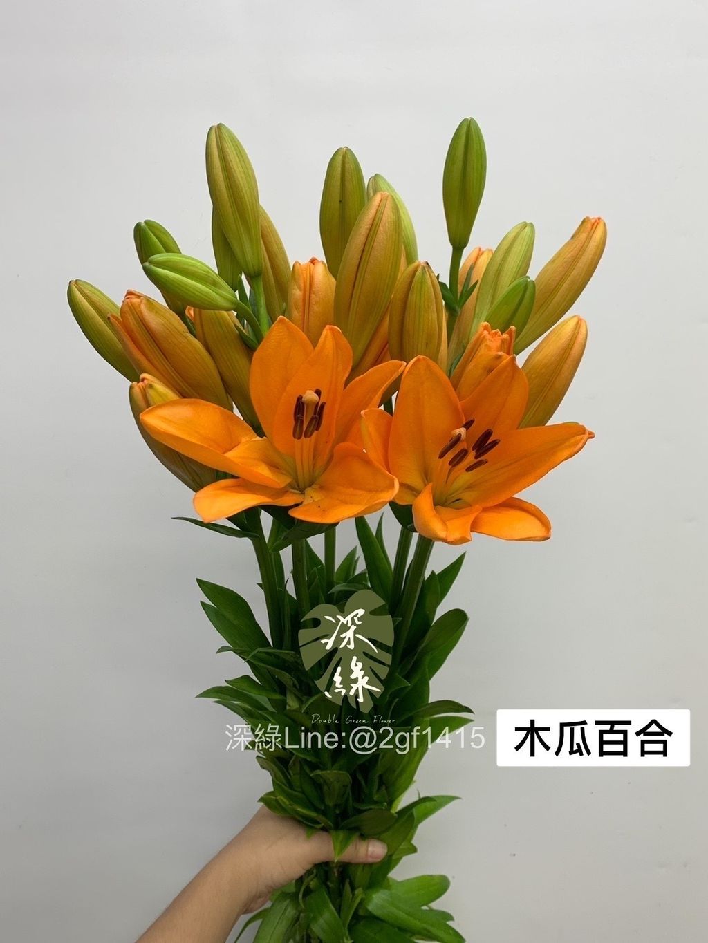 IMG_5358-1728809630526