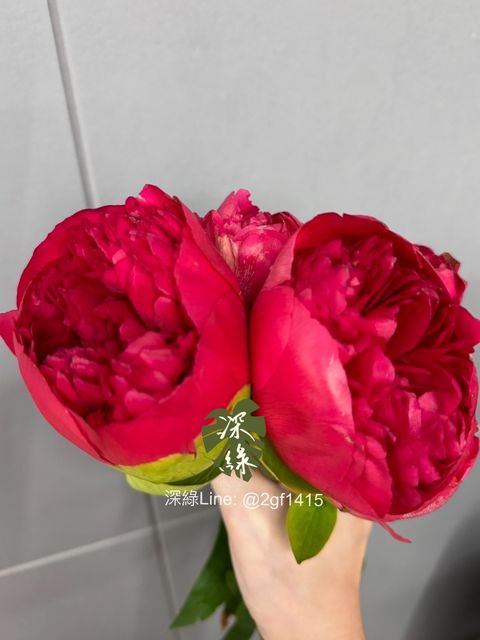 eZy Watermark_13-10-2024_06-02-41-5560下午-1728813853141