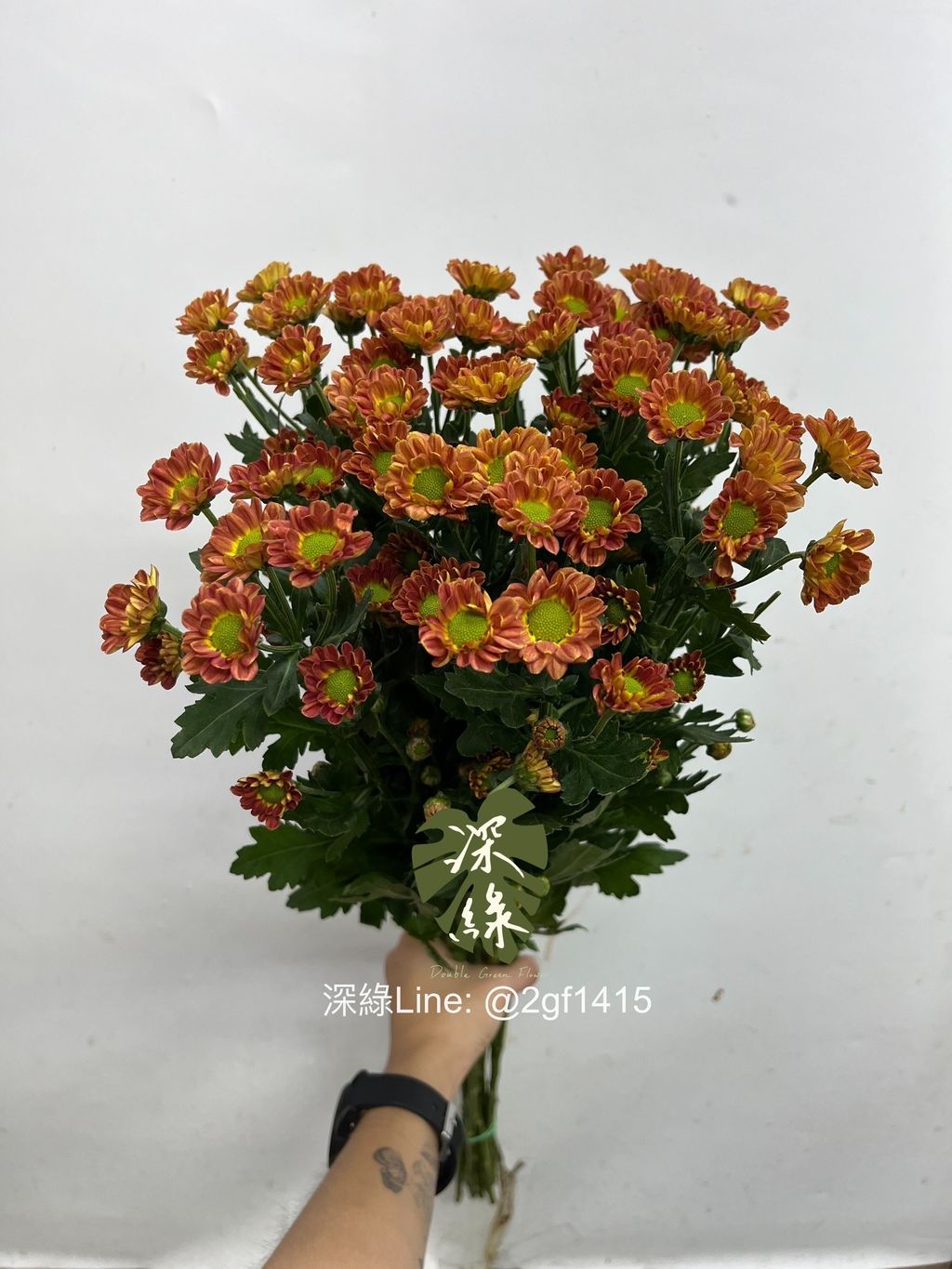 IMG_0528-1728965532418