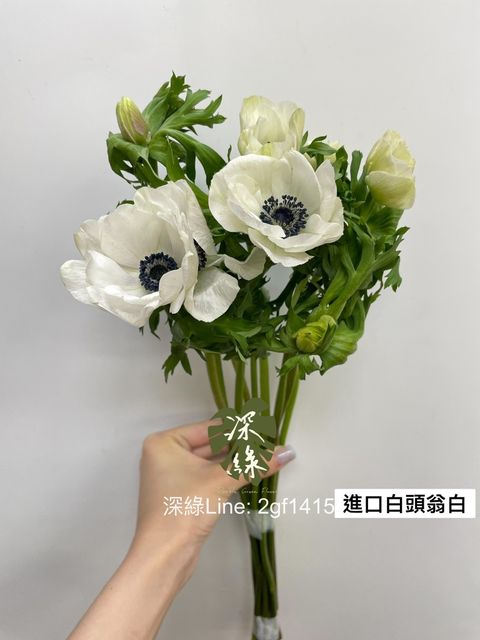 A639A243-EC22-4D85-9E46-9F0EA05197D0