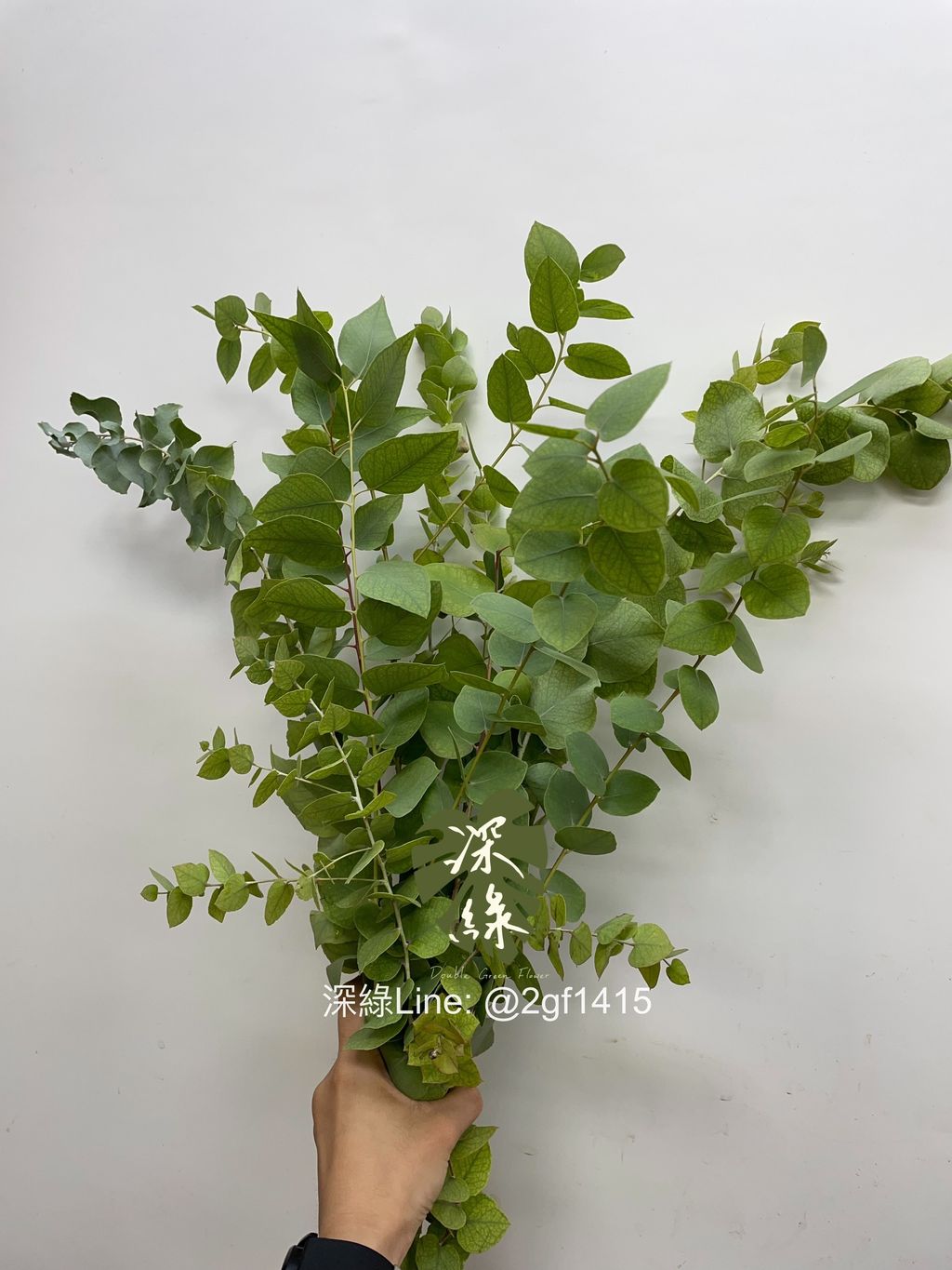 eZy Watermark_02-10-2024_07-21-02-6010上午-1727824883532