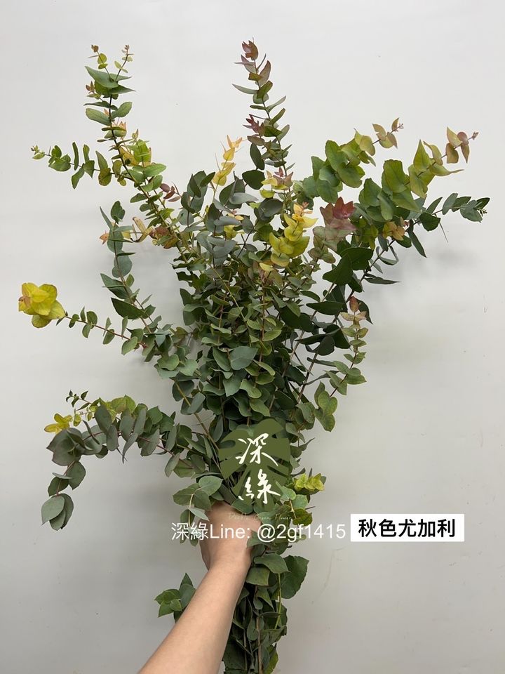 S__3514408
