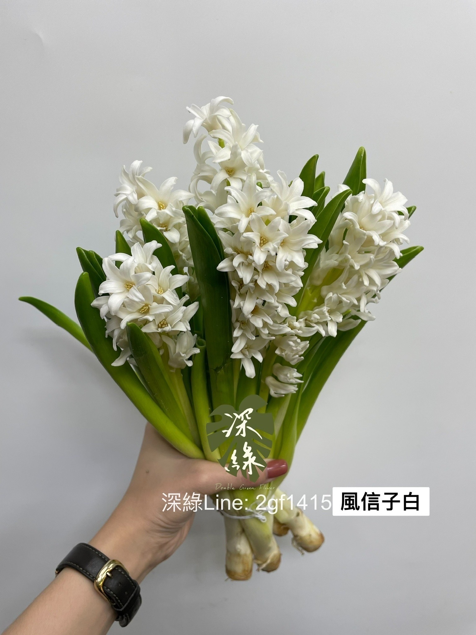 白色– 深綠花卉