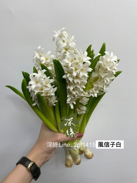 72A4D543-E1F8-44B8-A105-388D73E59AFA