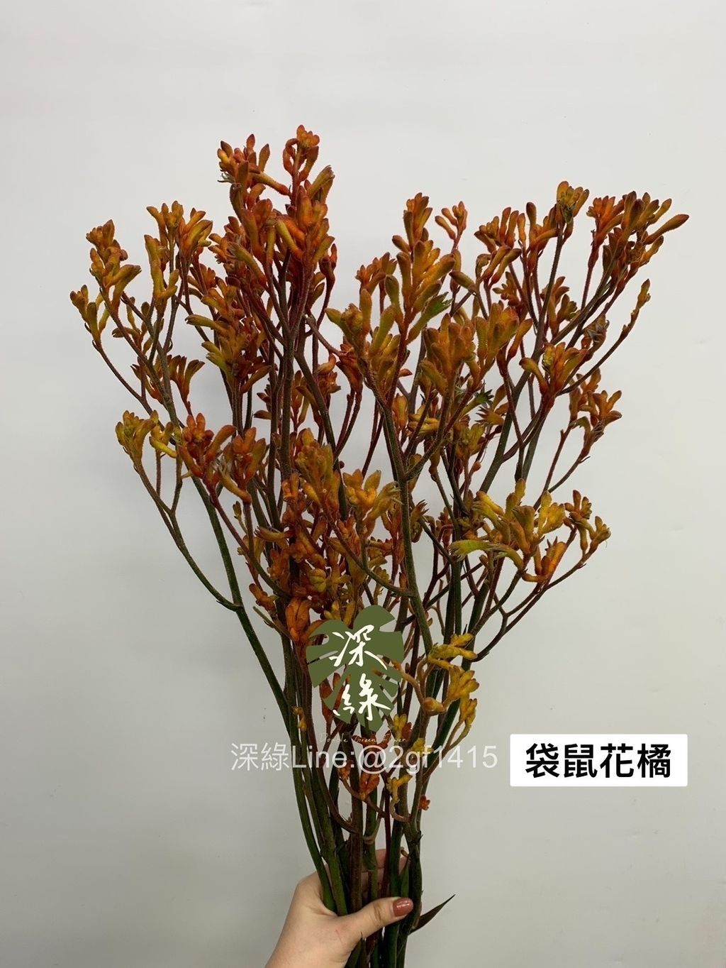 3C64D908-9440-449A-AB7E-78B11FA961DA