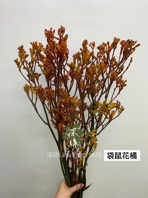 3C64D908-9440-449A-AB7E-78B11FA961DA