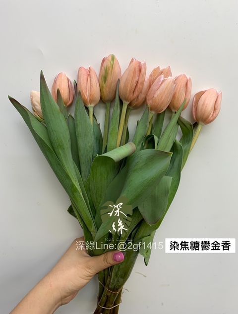 S__26910752