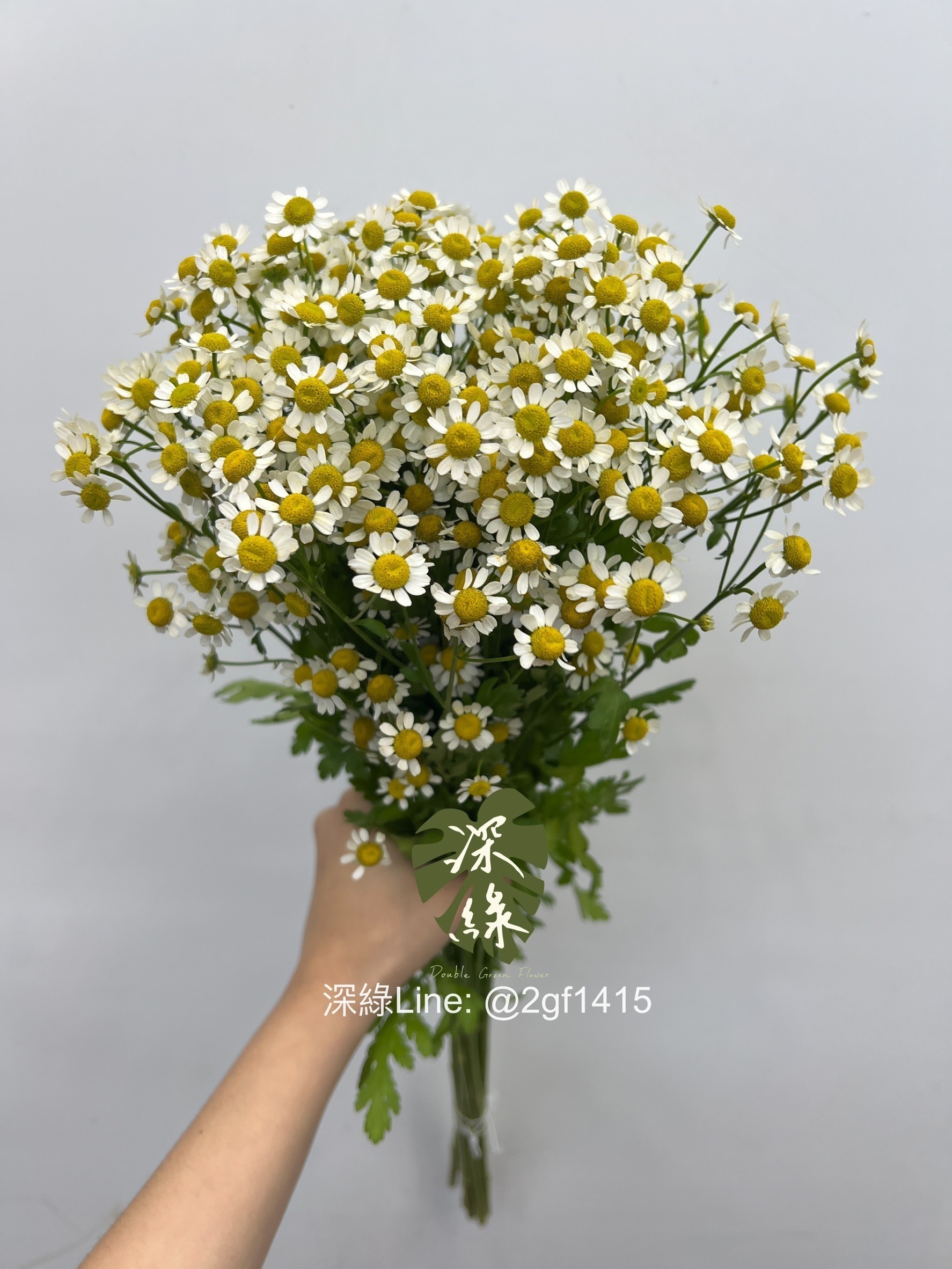 高雄買花– 深綠花卉