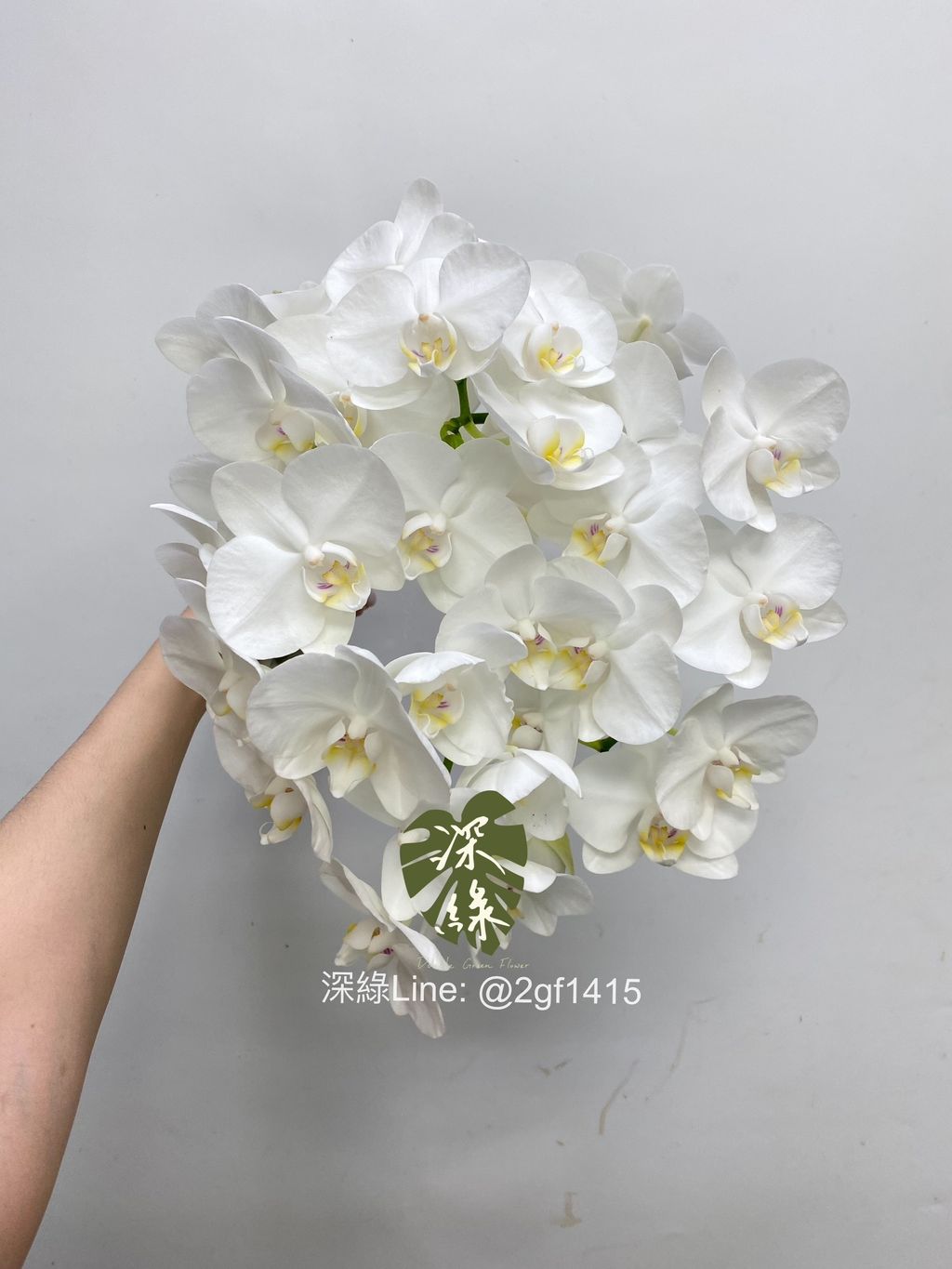S__25632820