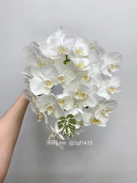 S__25632820