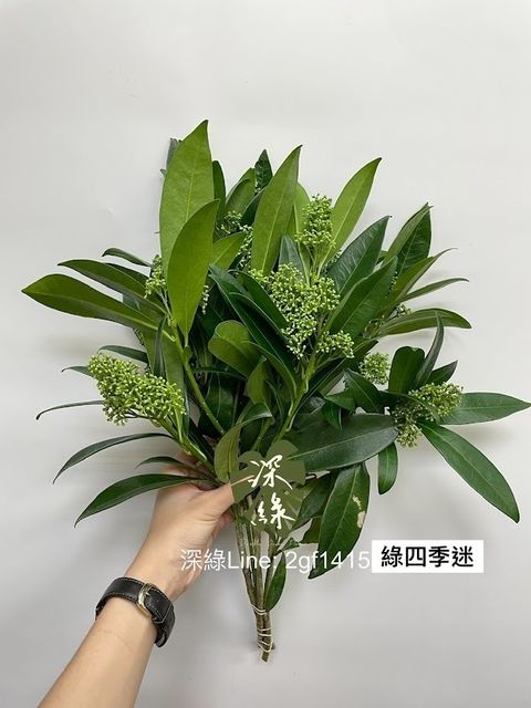 AIL4fc9uY5EuSIiyEQWJUw7LVo2hJR1qNYScuLEtDYVoJ4YfPw-TJFzBtQ0aHsCJOFnWElPem3jhvYi5eZfoPV_2OZ-fB67Fn8NdreSrWgS-iKvxeekmn_scX_pFgdmRHyyhPZShcr8GEJmiHnJ8Yb7rWIos=w634-h845-s-no