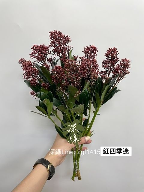 AIL4fc84_VnXakQVHXP0N7x3ppjRQWFjv46S8yG6_Lt4DpznIstkt44A0x8PvvJ55tELozK5LtGKYc_W07z0pP7g4MTZV2v9oWWsuPtzlnY8_rDk8_q2IPjlV3BeHWi0DMrENcqgp7BEvR_xpdDjHy4VhMlj=w634-h845-s-no