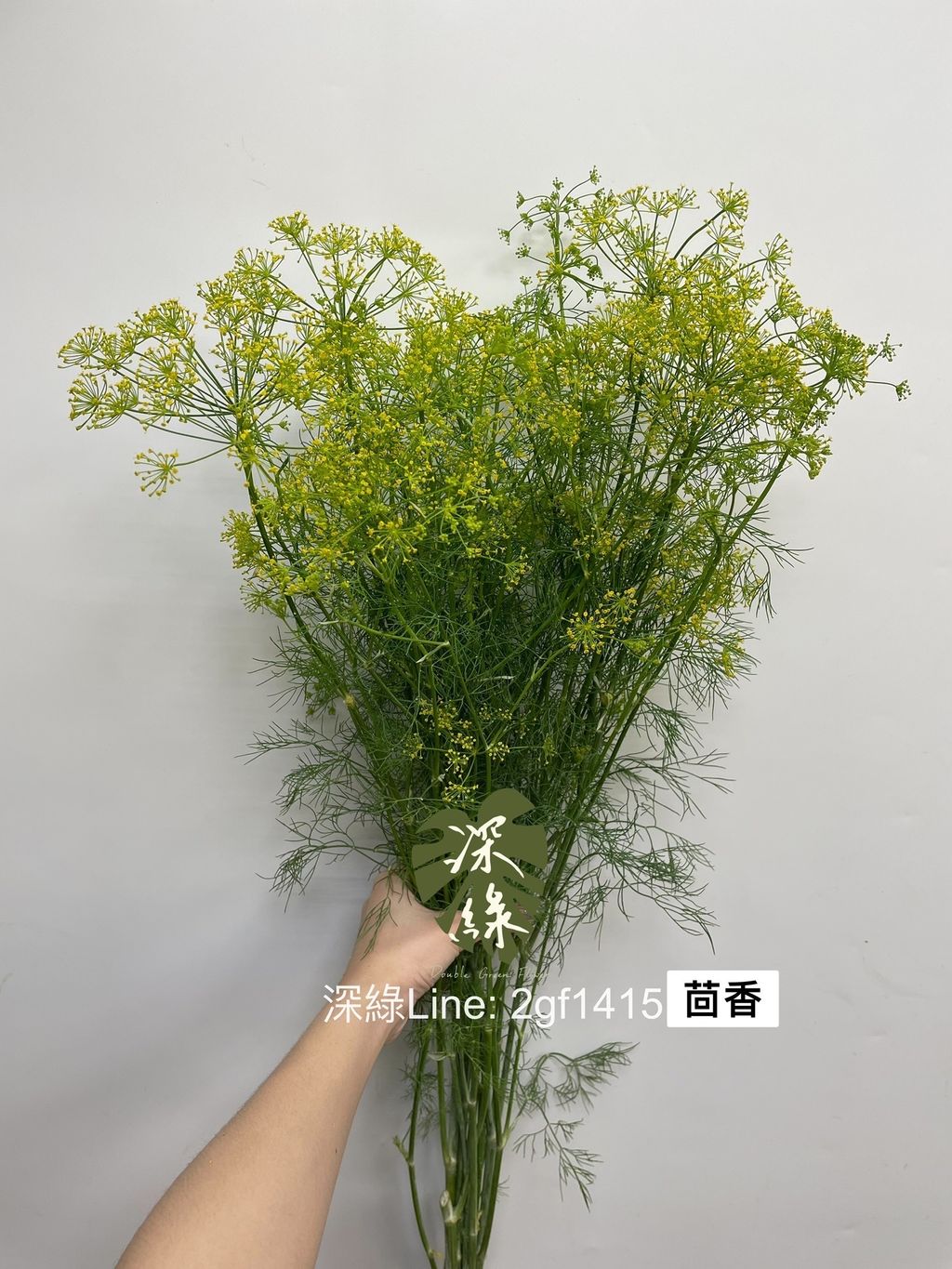 31016856-2BCC-470F-948D-20D485CAC420